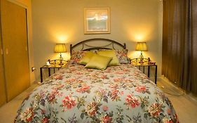 Dodici Night Suites